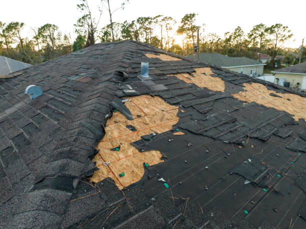 Best Roof Maintenance and Cleaning  in Keller, TX